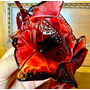 Флакон Lalique с парфюмом Lalique Edition Limitee 2011.